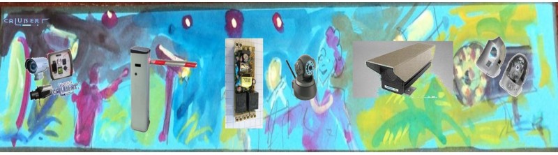 Seguridad y control de accesos
